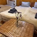 близнюки