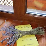 酒店 близнюки