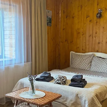 Hotel близнюки Vorochta