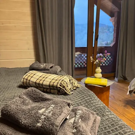 близнюки Hotel 5*