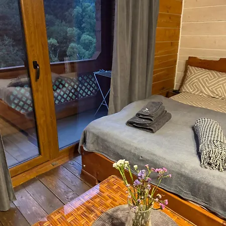 близнюки Hotel 5*