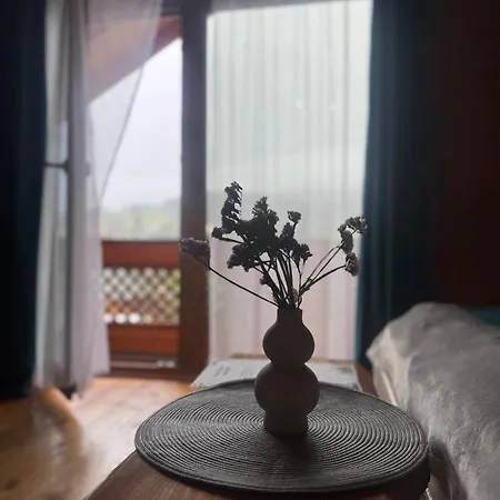 близнюки Hotel