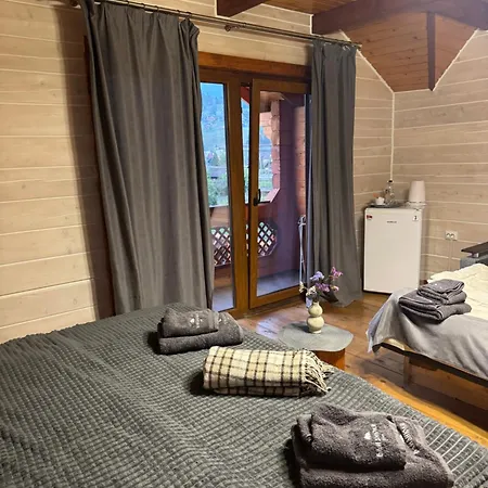 Hotel близнюки Vorochta