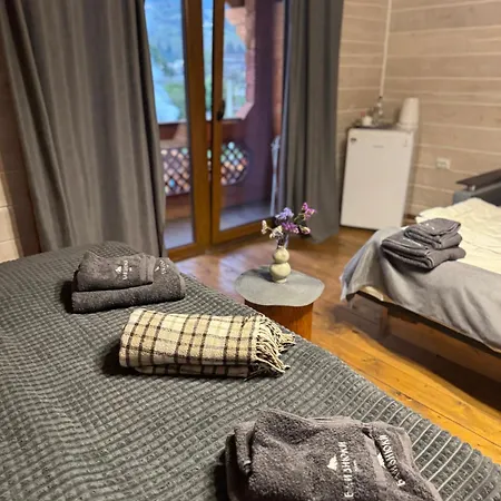 близнюки Vorochta