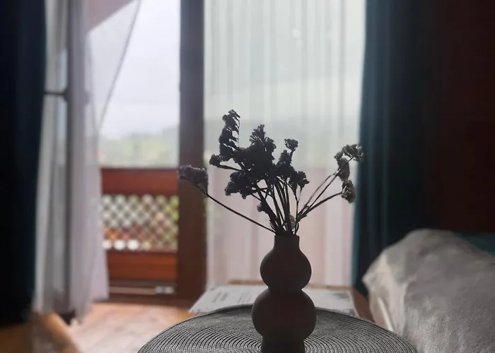 близнюки Hotel