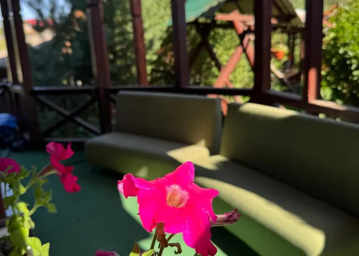 Hotel близнюки 5*