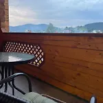 близнюки 5*