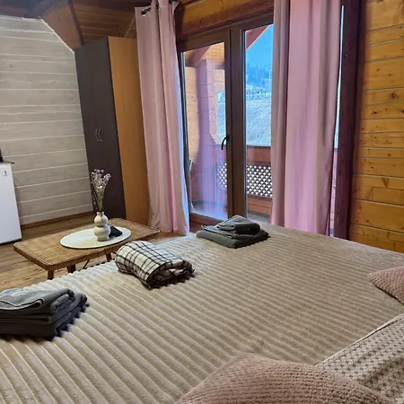 близнюки Hotel Worochta